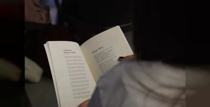 25. Uluslararası Sapanca Şiir Akşamları başlıyor