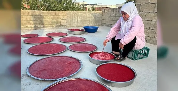 Adıyaman'da kış hazırlıkları için salça ve kurutmalık hazırlığı başladı
