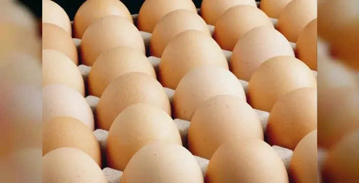 Ağustos'ta yumurta üretimi 2 milyarı geçti