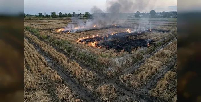 Anız yakma sorununa çözüm önerileri sunuldu