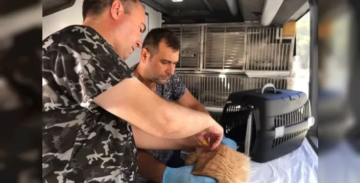 Balıkesir'in Can Dost Aracı, Savaştepe'den yola çıkıyor