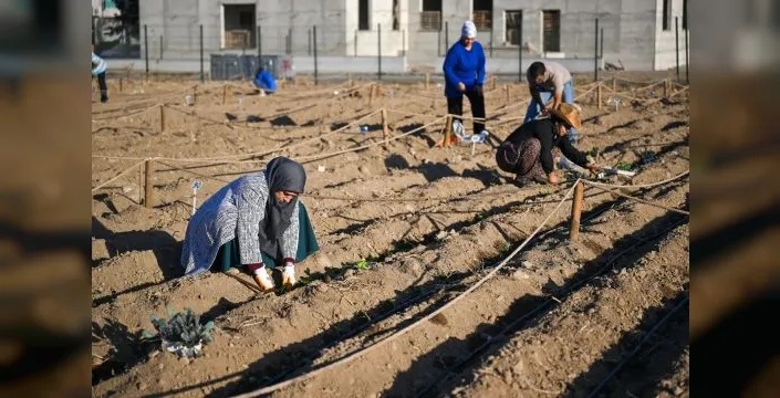 Bornova'da sıfır karbonlu kent bostanı üretime başladı