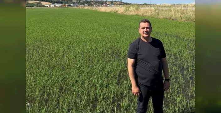 Çeltik üreticileri açıklanan fiyatlara isyan etti