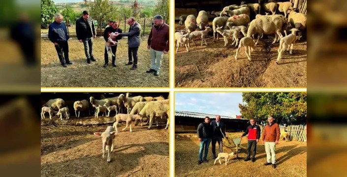 Edirne'de genç yetiştiricinin işletmesi ziyaret edildi