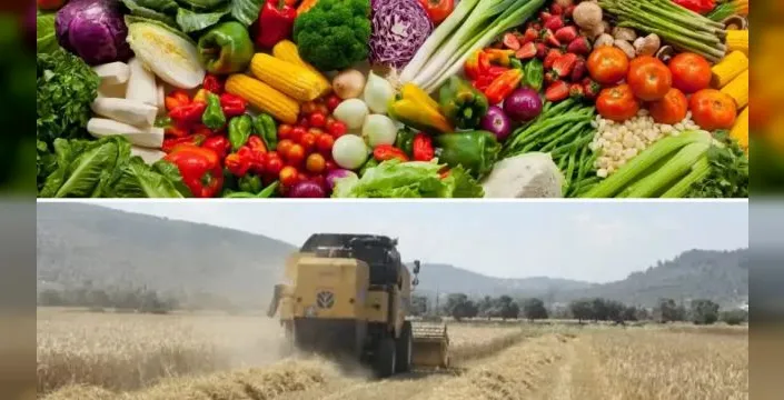 Eylülde tarım ürünleri fiyatlarında düşüş yaşandı