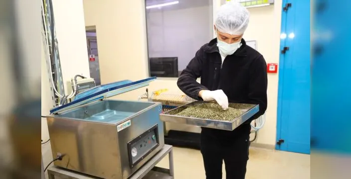 Kocaeli'de tıbbi ve aromatik bitkilerle yeni ürünler üretiliyor