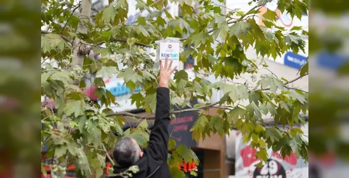 Kocaeli kitap fuarı öncesi ağaçlar kitaplarla süslenecek