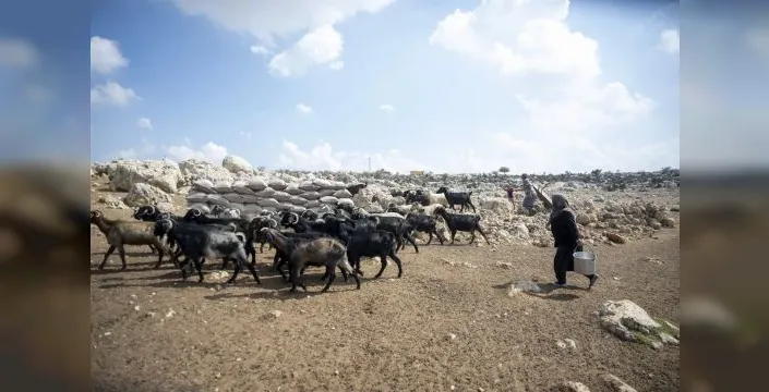 Mersin'de üreticilere güneş paneli desteği
