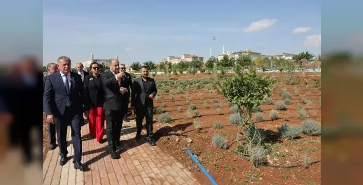 Şanlıurfa ve Pitești'de dostluk parkı açıldı