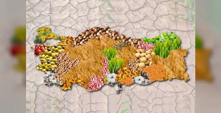 Tarımsal örgütlenmelerin güncel durumu açıklandı