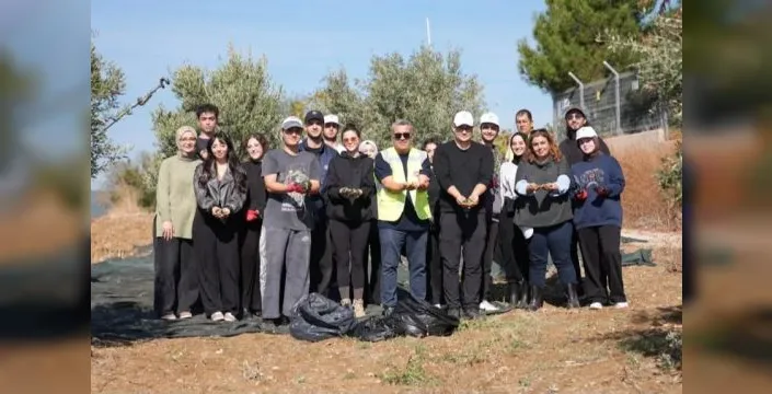 Tekirdağ'da gençler zeytin hasadı eğitimine katıldı