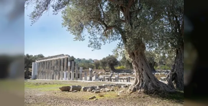 Teos'ta 2200 yıllık meclis binası gün ışığına çıktı
