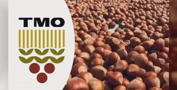 TMO fındık alımlarında üreticiye kolaylık sağladı