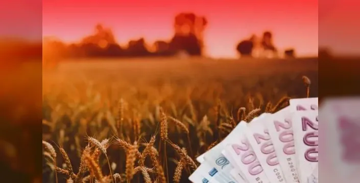 TMO, üreticilere 4,2 milyar lira ürün bedeli ödedi
