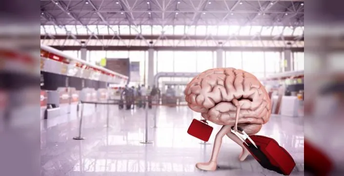 Yükseköğretim mezunlarının beyin göçü oranı yüzde 2,2 oldu