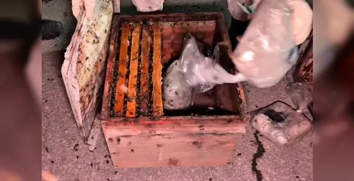 Yüksekova'da arı kovanlarına gizlenmiş yüklü miktarda uyuşturucu ele geçirildi